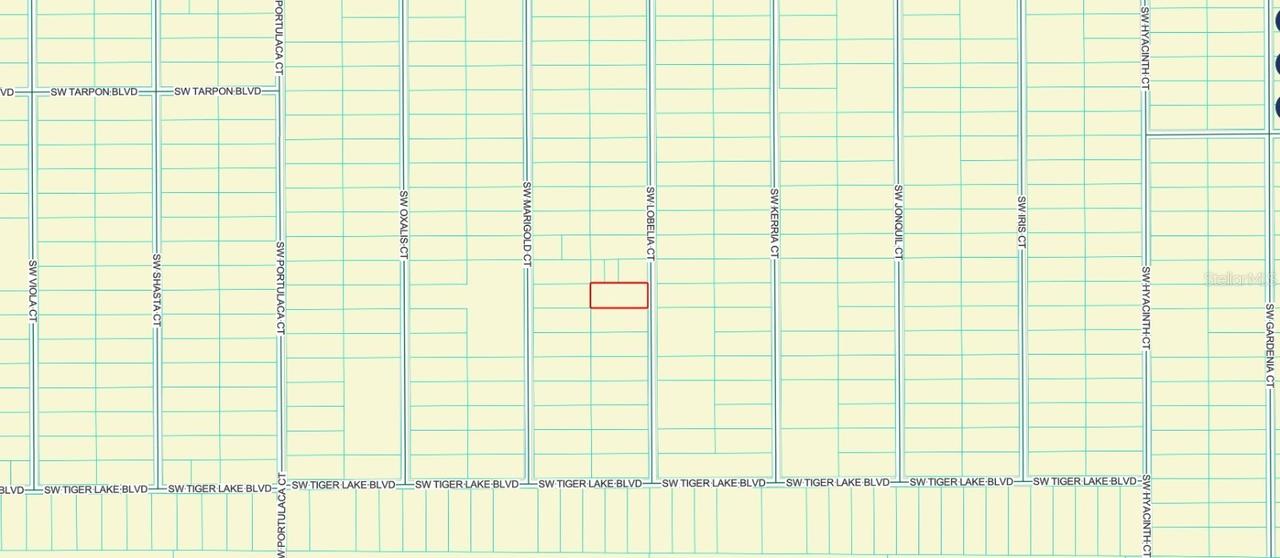 0000 SW Lobelia Ct, Dunnellon, FL 34431