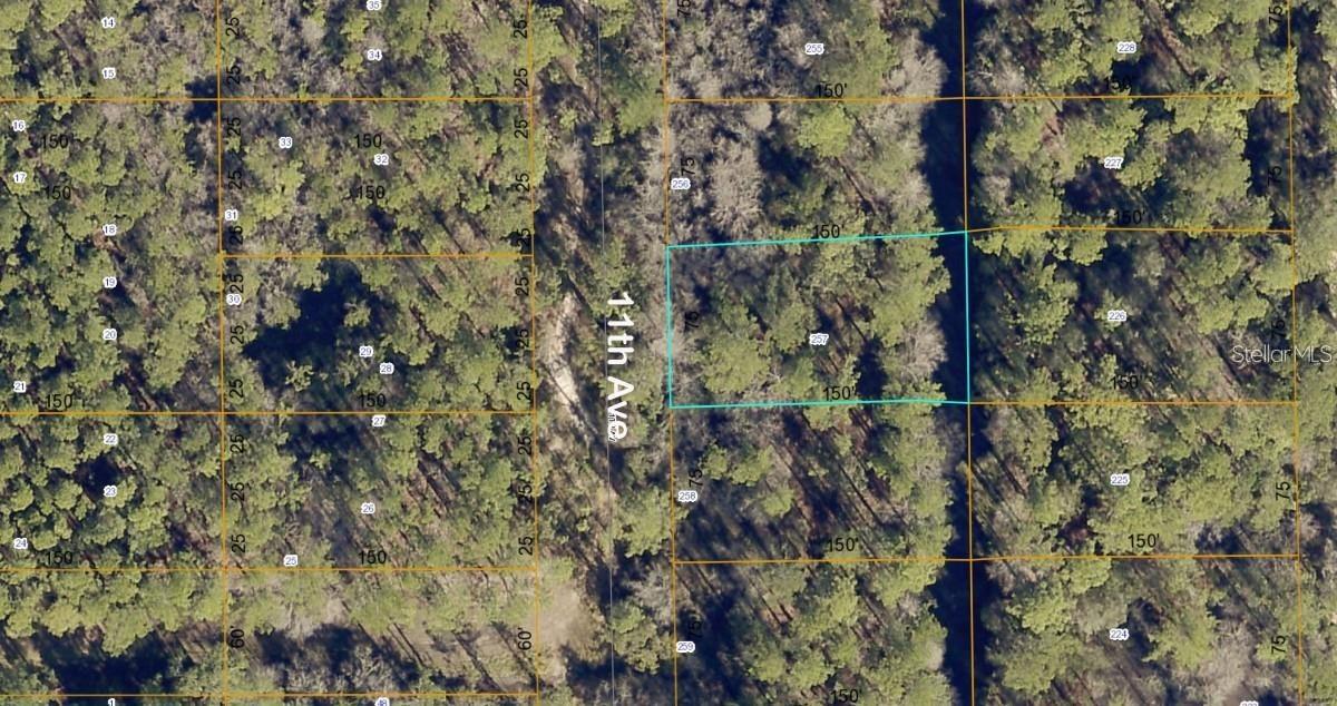 lot 257 11th Ave., Deland, FL 32724