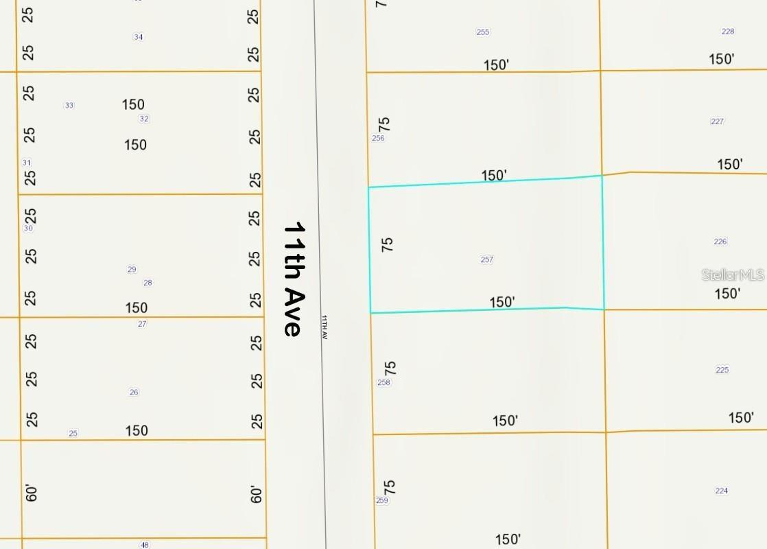 lot 257 11th Ave., Deland, FL 32724