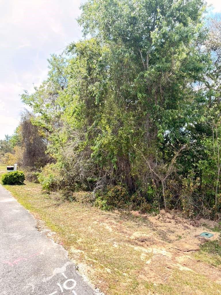 SW 21 Ct., Ocala, FL 34473