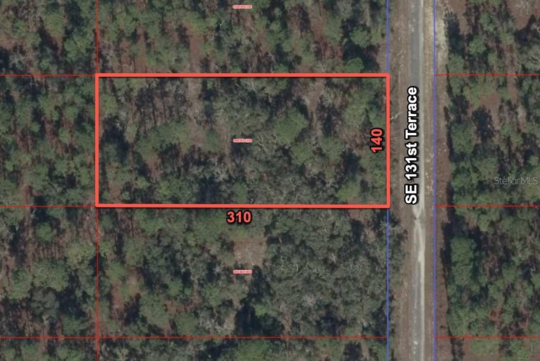 11320 Se 131st Ter, Dunnellon, FL 34431