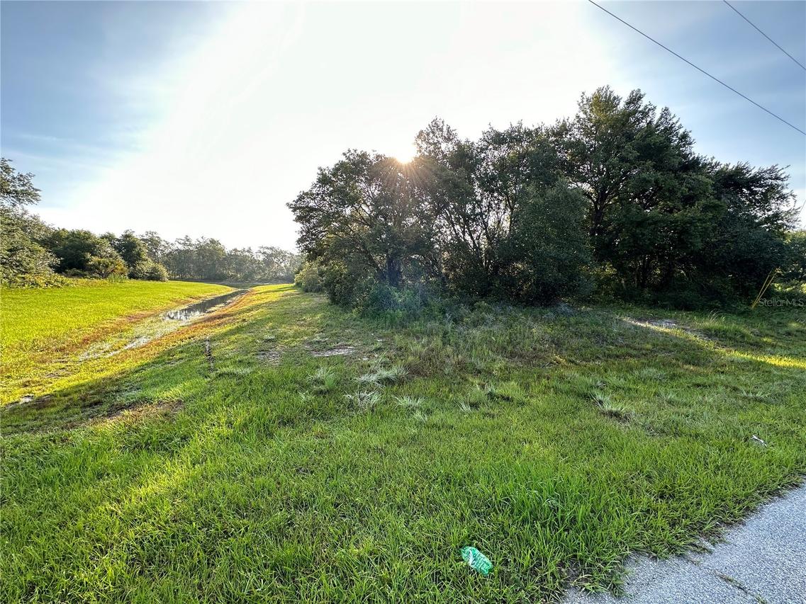 Mediterranean Dr., Kissimmee, FL 34759