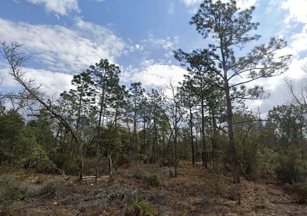 Park St., Interlachen, FL 32148