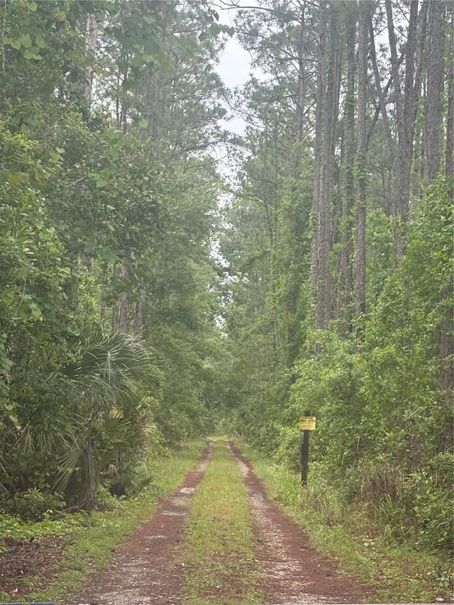 No Street, Deland, FL 32724