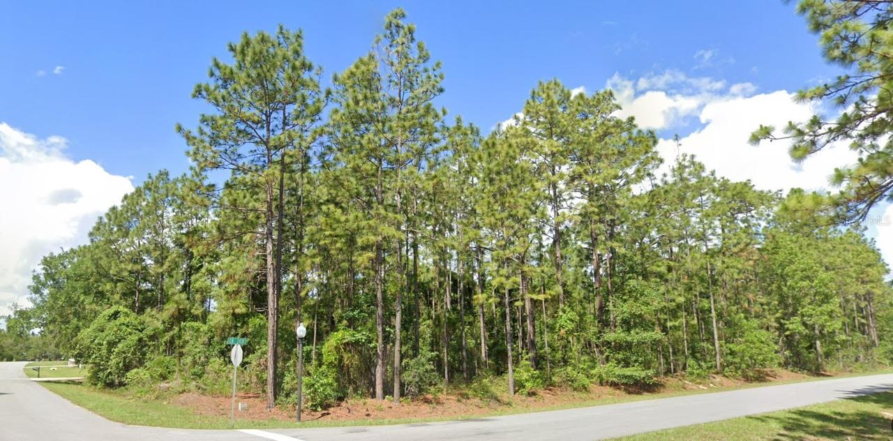 2020 Cr 243 B, Wildwood, FL 34785