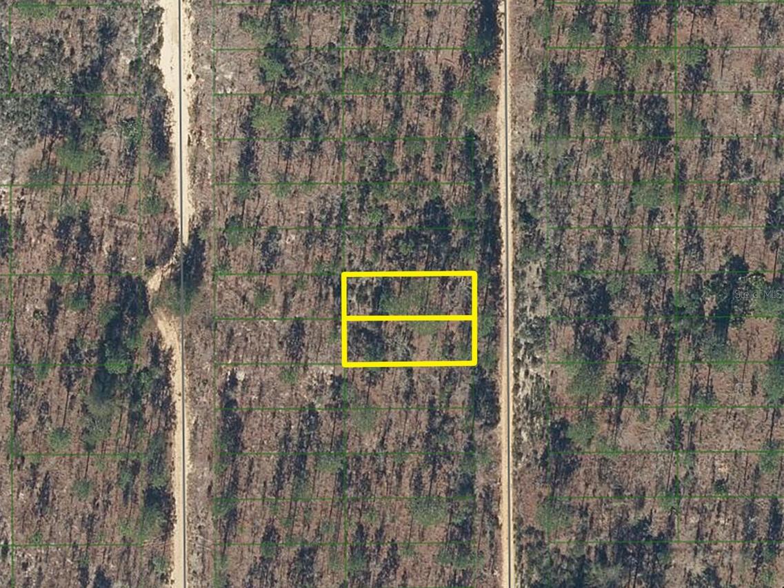 423 Dothan St., Interlachen, FL 32148