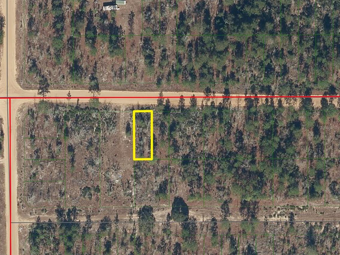 1133 Twin Lakes Blvd., Interlachen, FL 32148