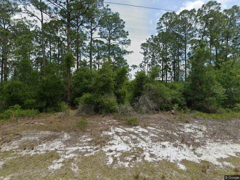 479 Johnson Ave., Lake Placid, FL 33852