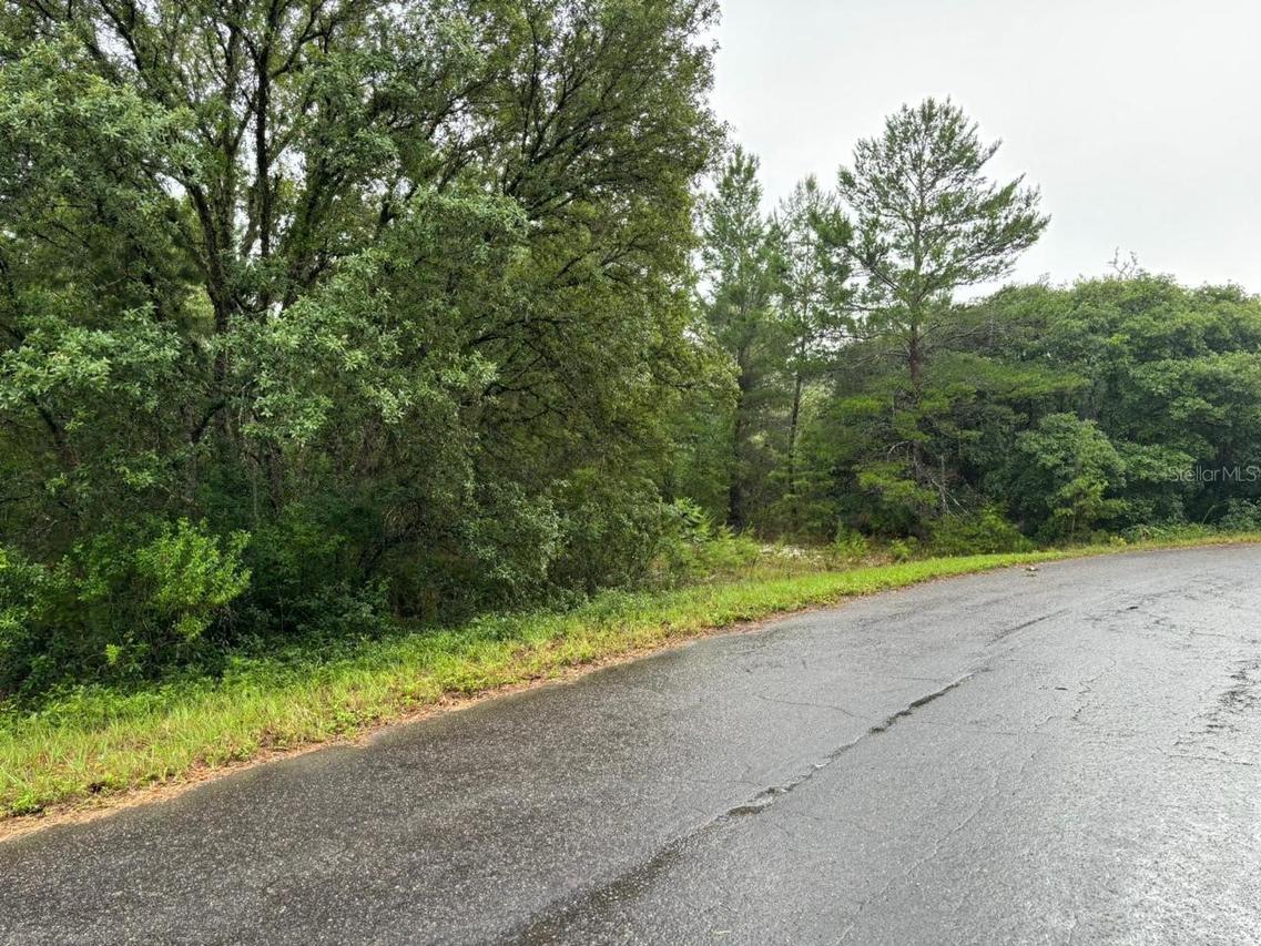 16 Fisher Court Way, Ocklawaha, FL 32179