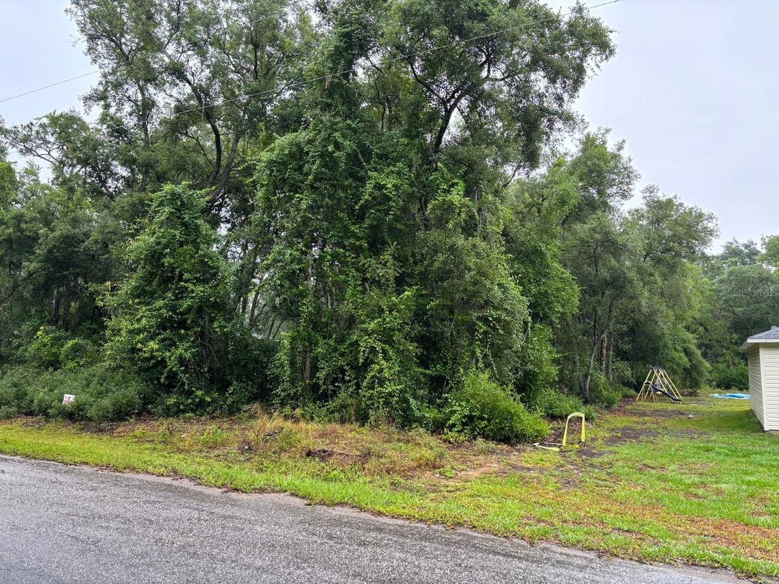 11 Fisher Way Course, Ocklawaha, FL 32179