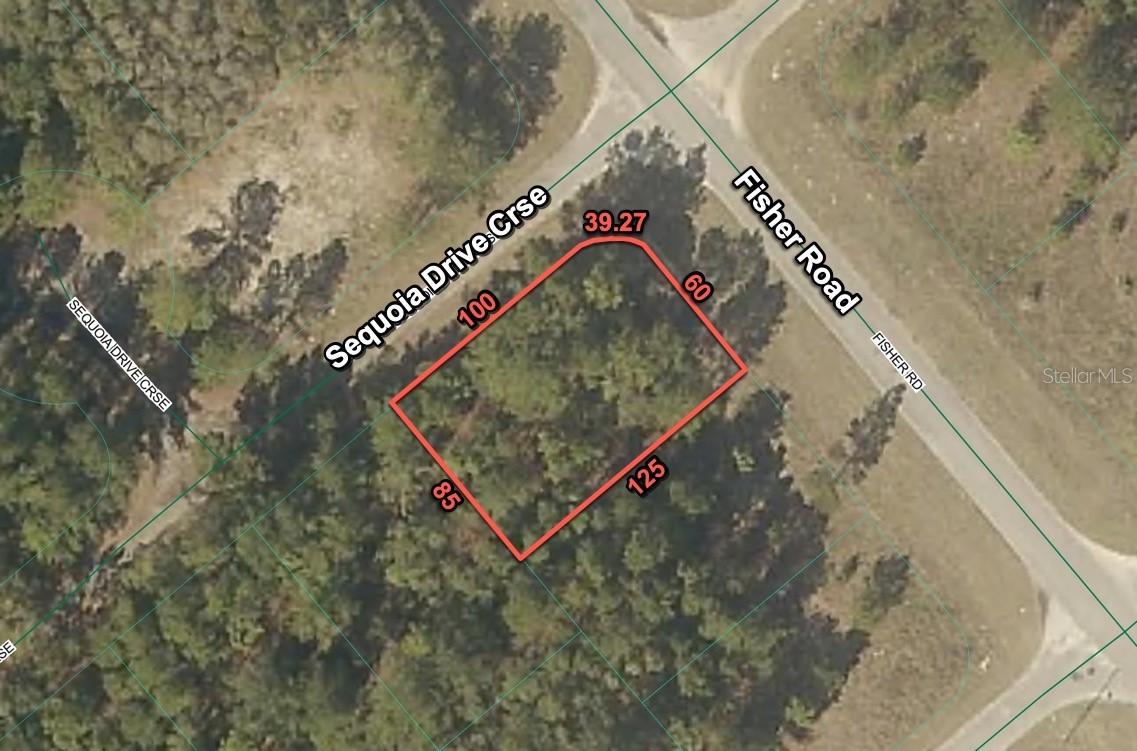 200 Fisher Road Rd., Ocklawaha, FL 32179