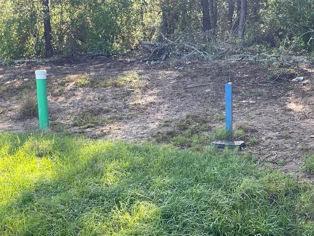 1318 Homosassa Dr., Kissimmee, FL 34759