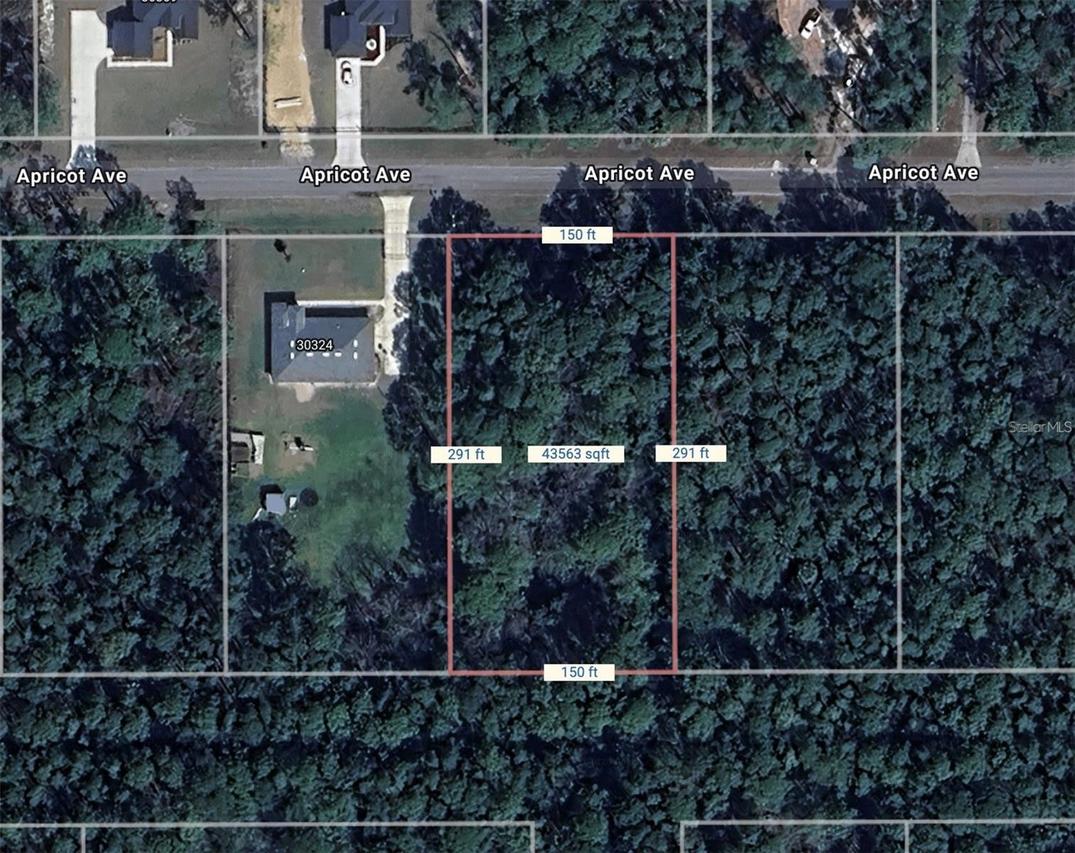 Apricot Ave., Eustis, FL 32736