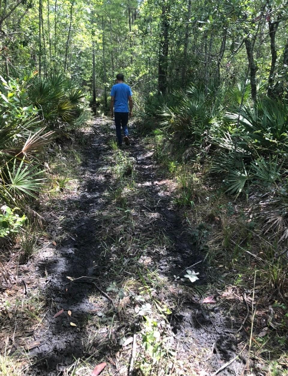 2449 Old Train Rd., Deltona, FL 32738