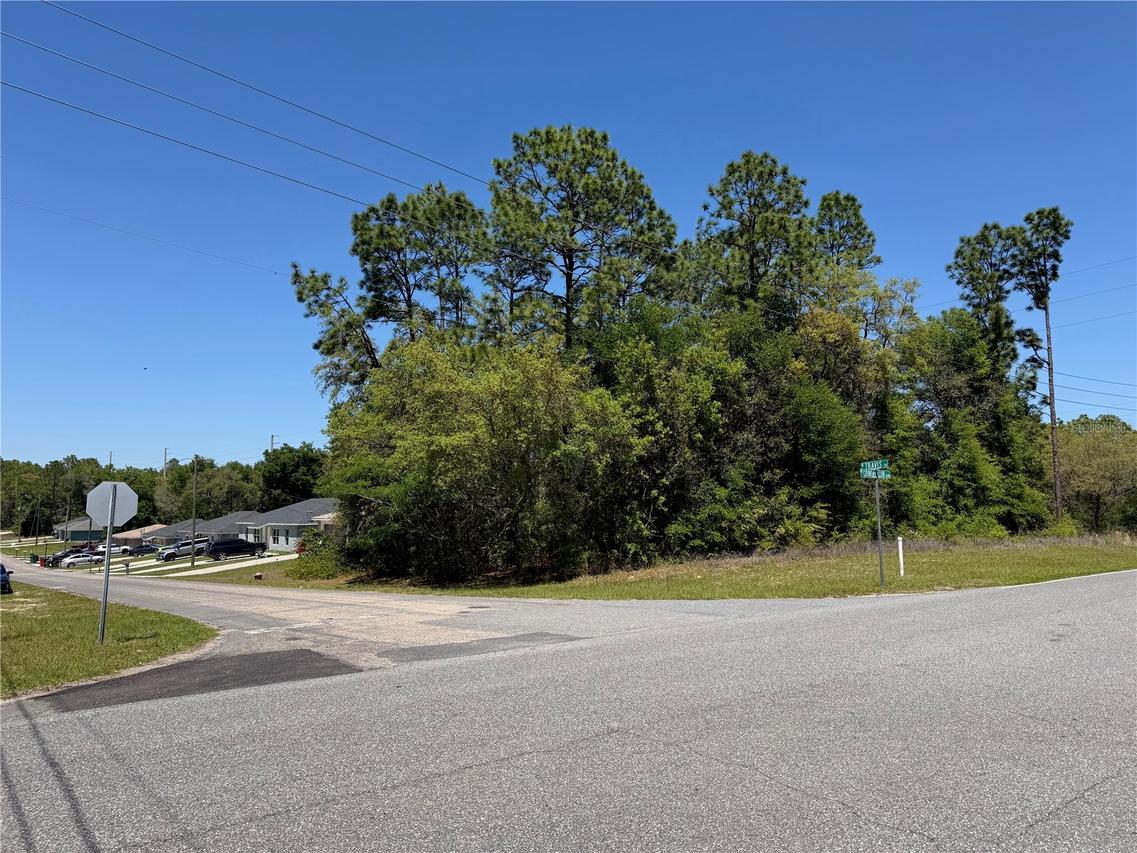 8975 N Travis Dr., Citrus Springs, FL 34434