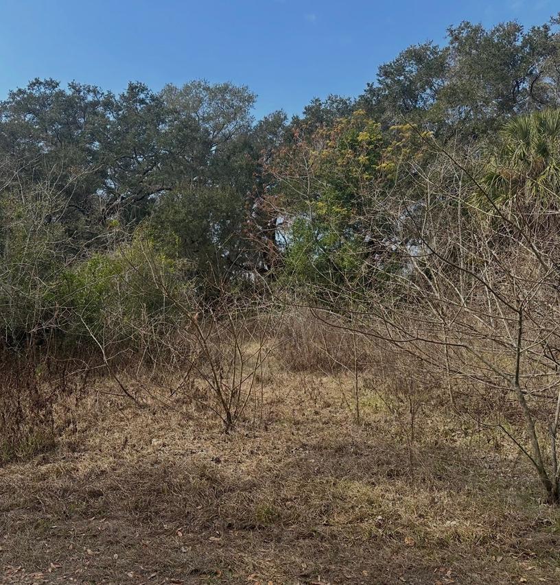 16644 SE 134th Ter., Weirsdale, FL 32195