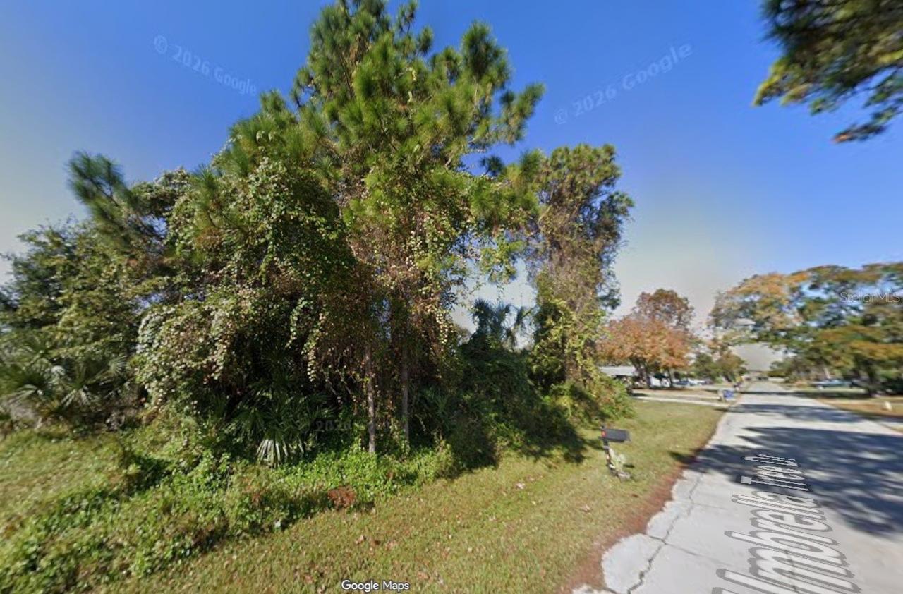 1328 Umbrella Tree Dr., Edgewater, FL 32132