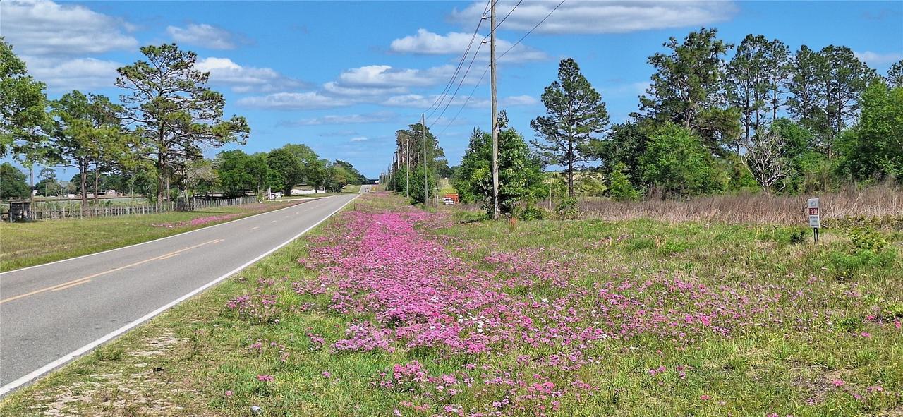 Se 60th Street, Morriston, FL 32668