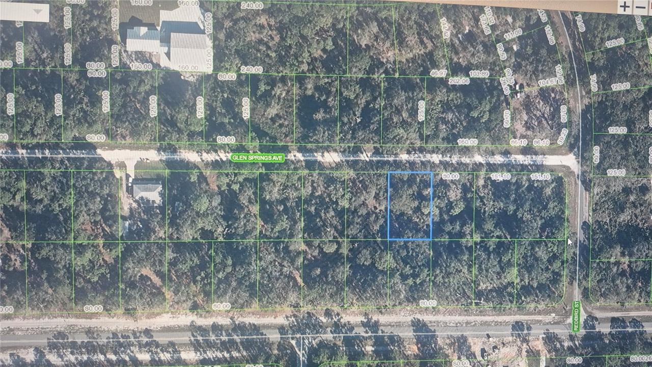 3216 Glen Springs Ave., Lake Placid, FL 33852