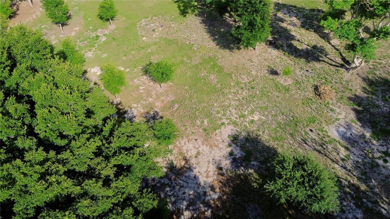 Tomato Hill Rd., Leesburg, FL 34748