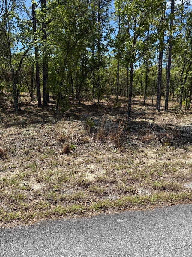 LOT# 8 SW Mineola Ln., Dunnellon, FL 34431