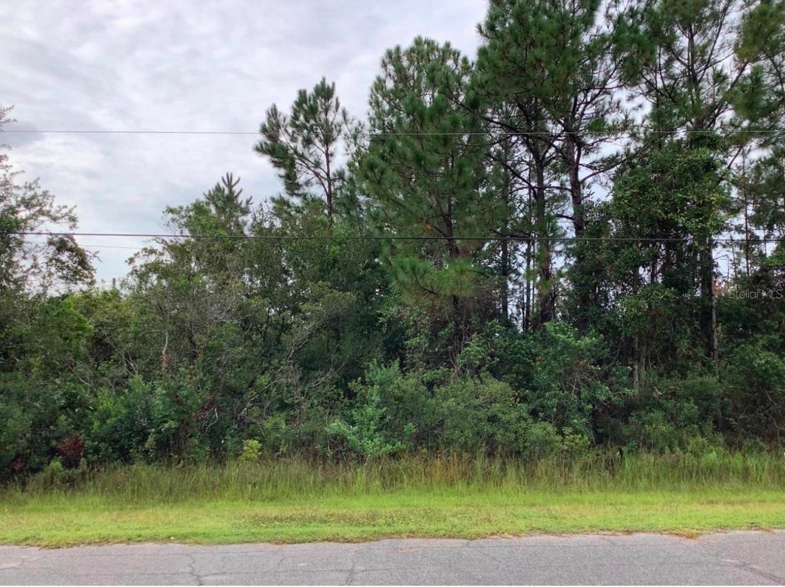 Odham St., Orlando, FL 32833