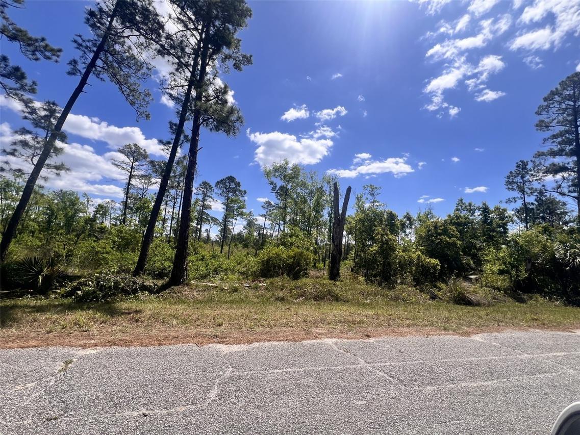 Banyan St. #Unit No. 1, Eustis, FL 32736