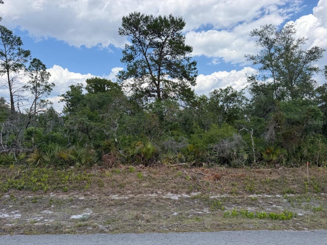7524 Yumuri St., Sebring, FL 33872