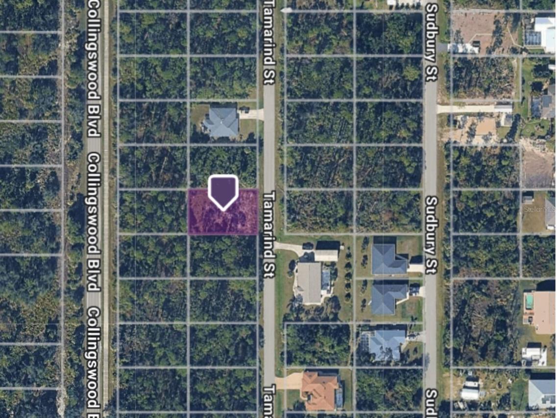 3133 Tamarind St., Port Charlotte, FL 33948