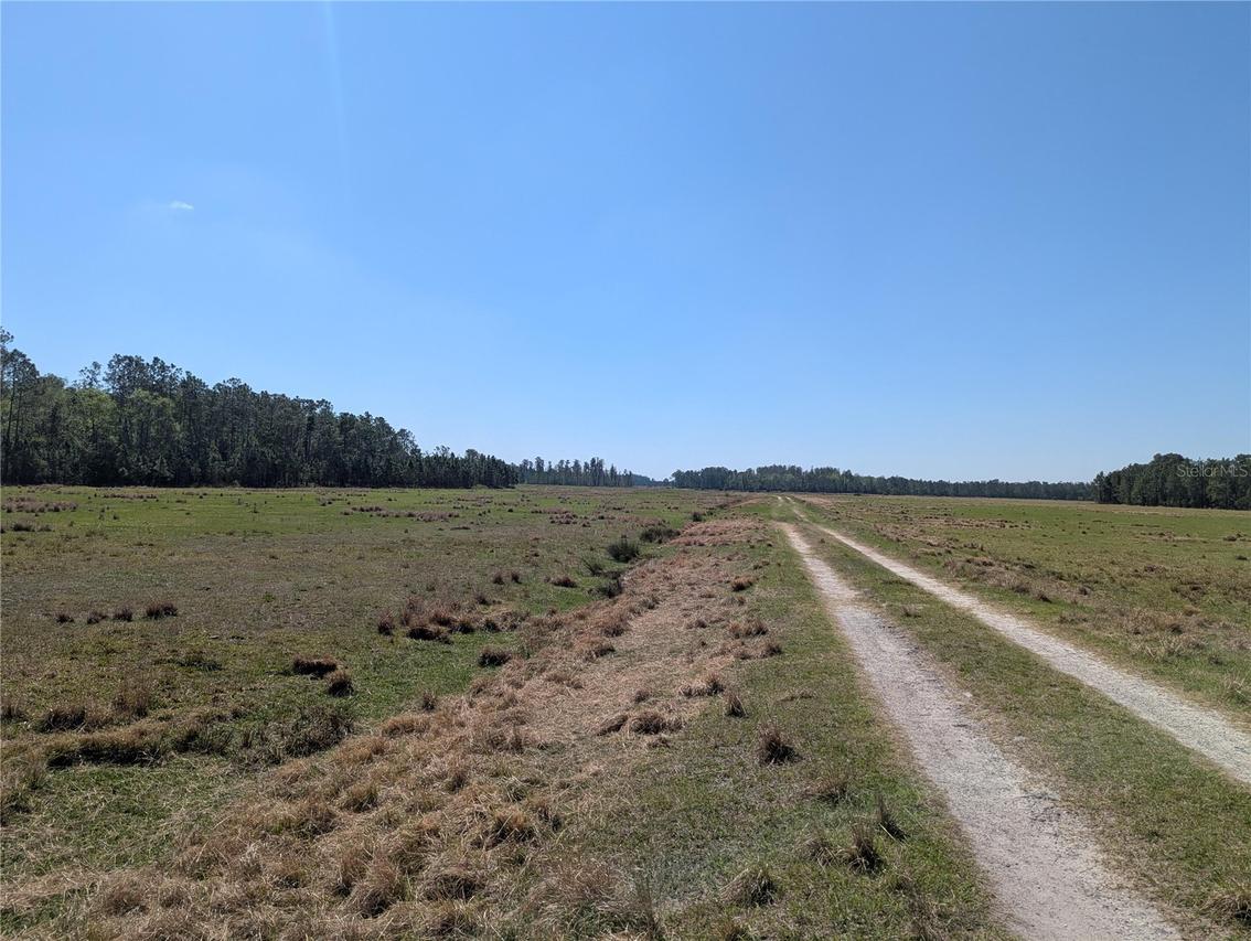 Deen Still Rd., Polk City, FL 33868