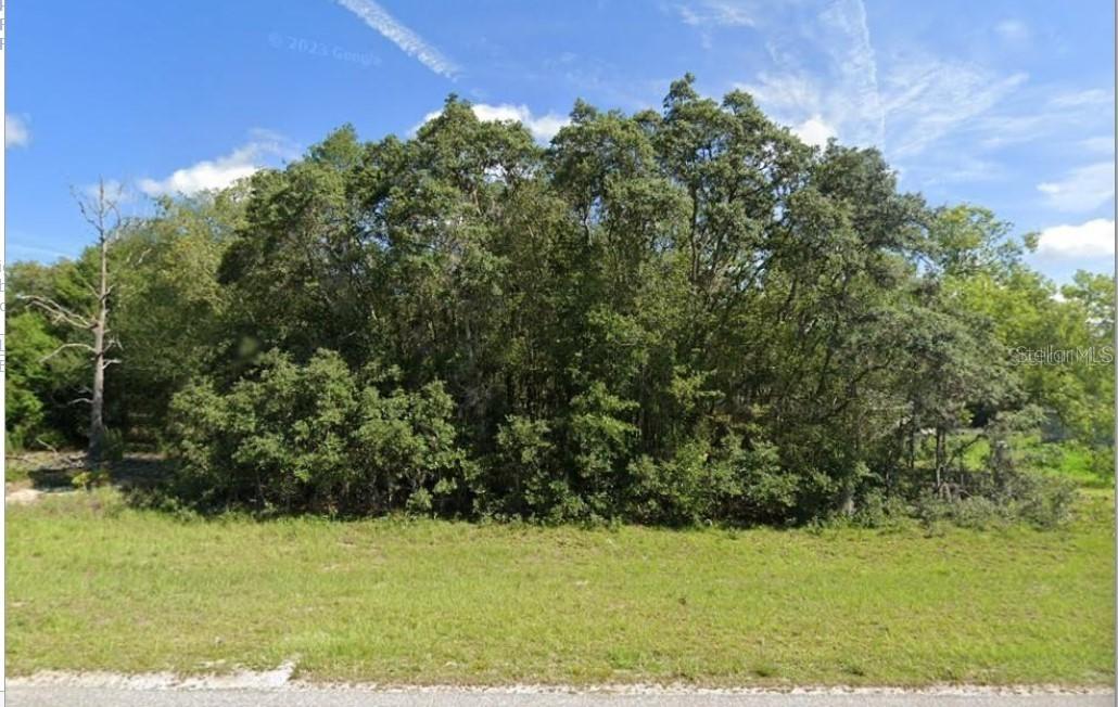 00 Malauka Rd Rd. #40, Ocklawaha, FL 32179