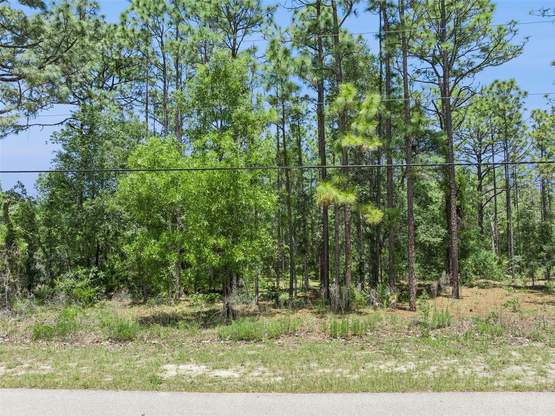 1797 W Union St., Hernando, FL 34442