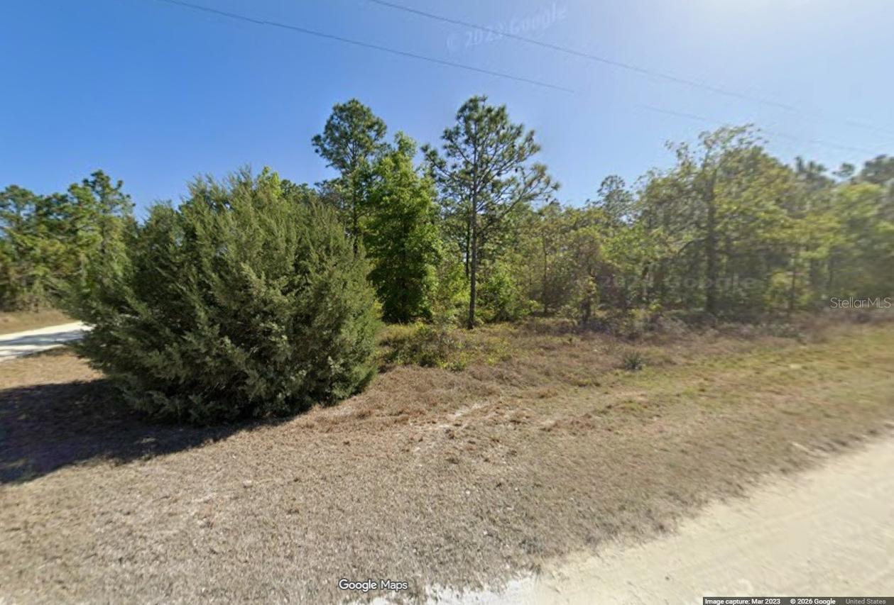 15480 Cliff Swallow Rd., Brooksville, FL 34614