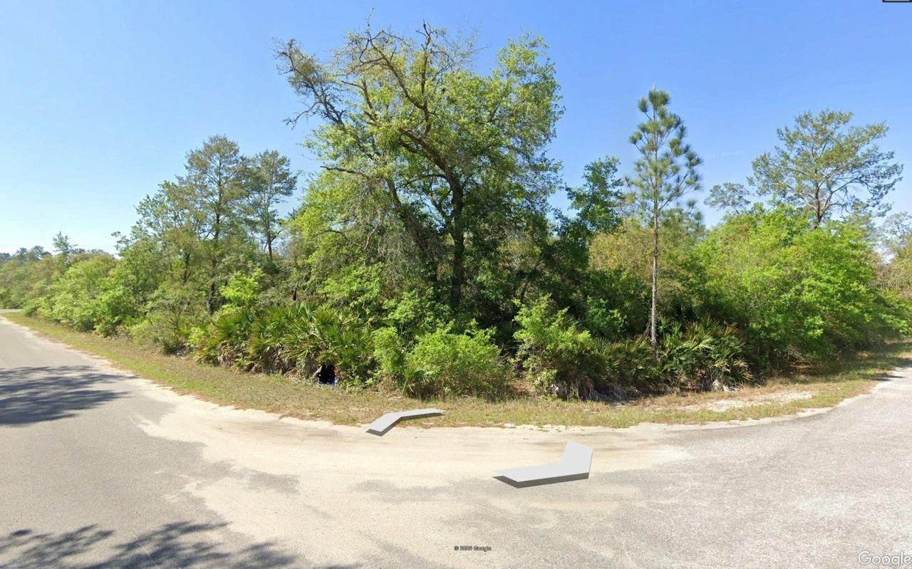 43 Sequoia Tr., Ocklawaha, FL 32179