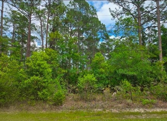 1747 Candleberry St., Bunnell, FL 32110
