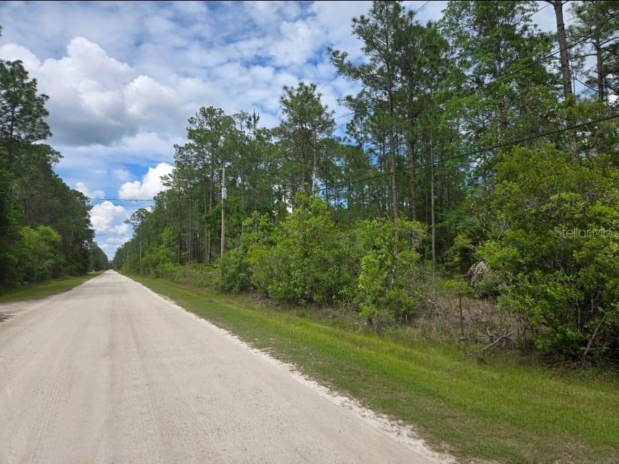 1747 Candleberry St., Bunnell, FL 32110