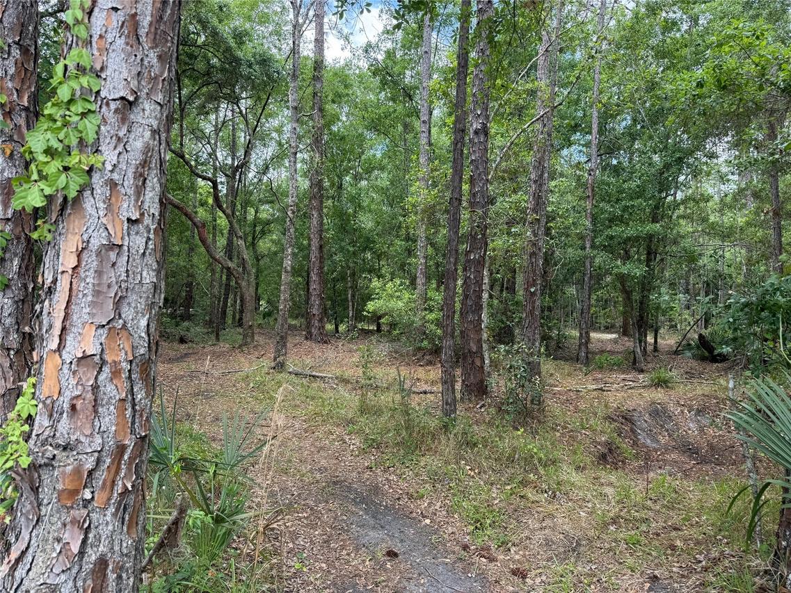 552 Buckshot Ave., Osteen, FL 32764