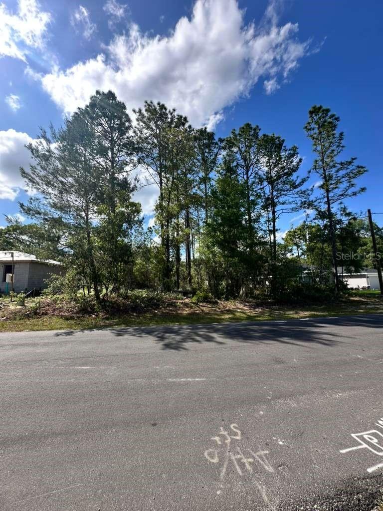 3125 W Fairbank Dr., Citrus Springs, FL 34433