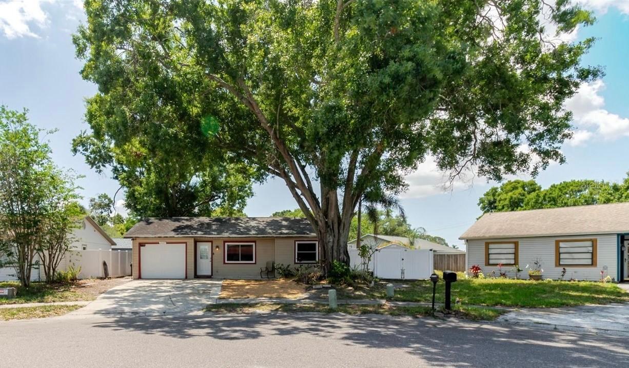2009 Peppertree Ct., Oldsmar, FL 34677