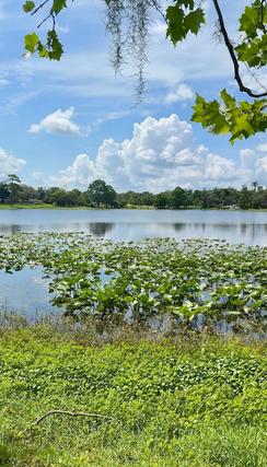 Homes Just Sold in Casselberry: July 21st to July 27th