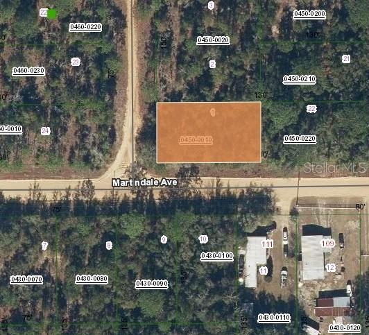 Lot 1 Martinedale Ave., Interlachen, FL 32148