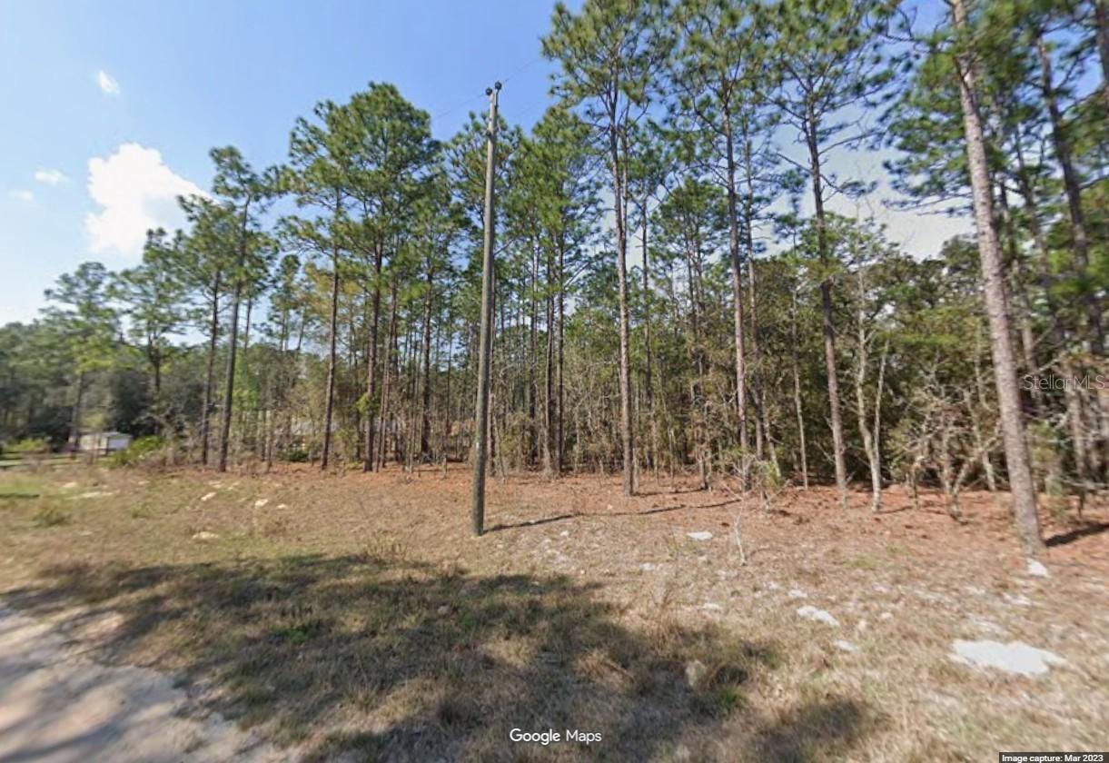 SW 128th Terrace Rd., Ocala, FL 34481