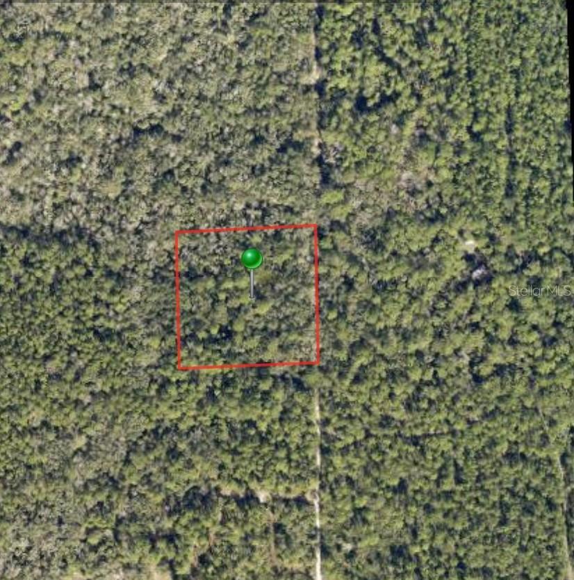 Lake Harney Rd., Osteen, FL 32764