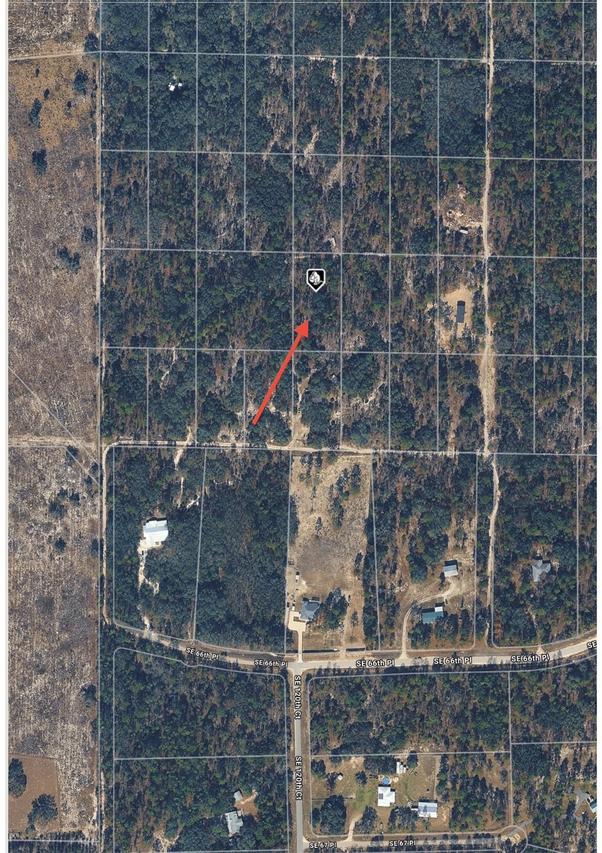 SE 64th Pl., Morriston, FL 32668