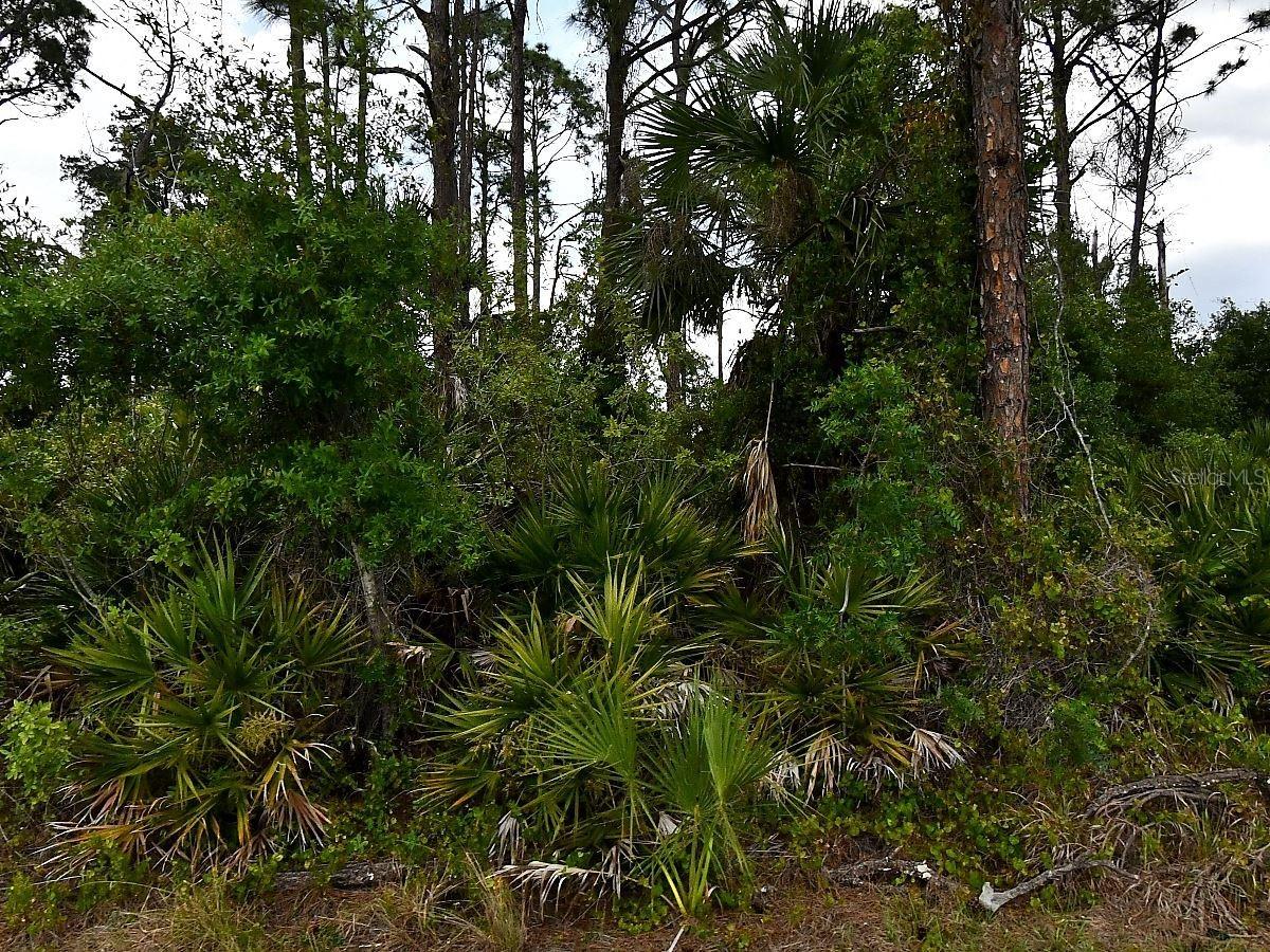Geloso Ave., North Port, FL 34288