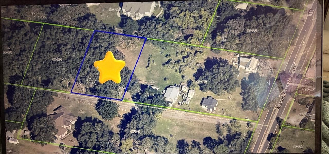 Avalon Rd., Winter Garden, FL 34787