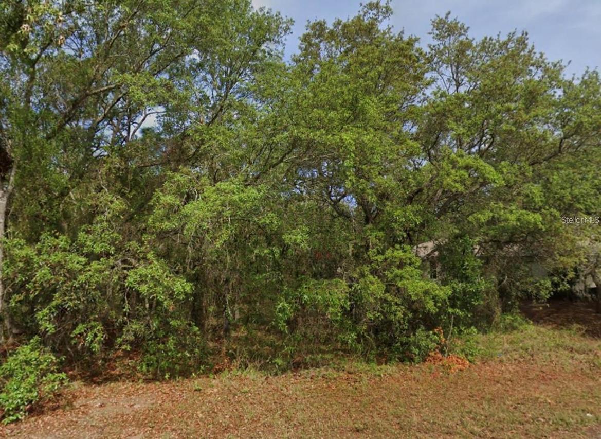 4 Honeysuckle Ct., Homosassa, FL 34446