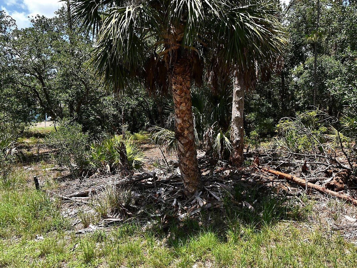 Hawksbill Ave., North Port, FL 34291