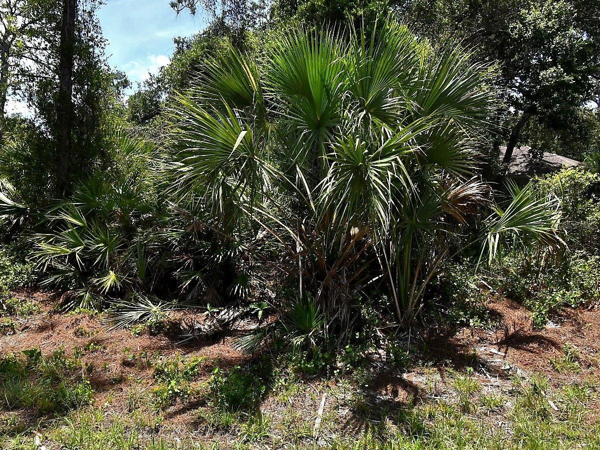 Van Eck Rd., North Port, FL 34291