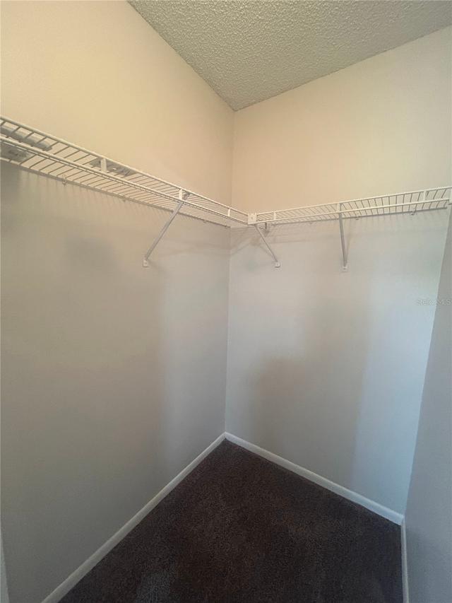 5224 Florida Holly Dr., Orlando, FL 32811